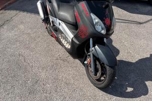Xmax 250 2009