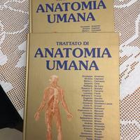 TRATTATO DI ANATOMIA