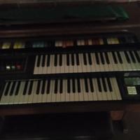 organo elettronico 