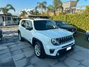 jeep-renegade-1-6-mjt-120-cv-limited-2019-cerchio