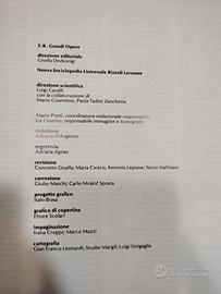 Enciclopedia Rizzoli Larousse