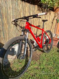 Race Mountain 29 XL