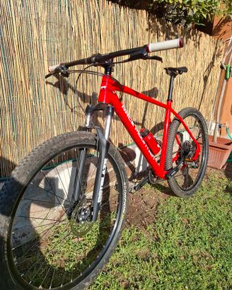 Race Mountain 29 XL