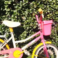 Bicicletta