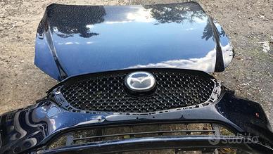 Musata mazda 6 - 2018