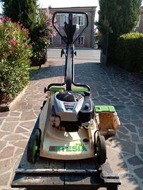 tagliaerba etesia pbts motore BRIGGS & STRATTON 85