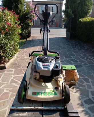 tagliaerba etesia pbts motore BRIGGS & STRATTON 85
