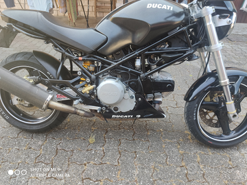 Ducati monster