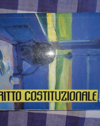 diritto costituzionale 