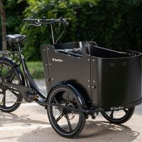 Cargo Bike Curvy 250w