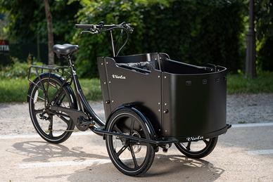 Cargo Bike Curvy 250w