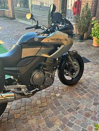 Yamaha TDM 900 - 2006