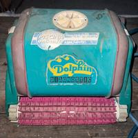 Robot piscina dolphin