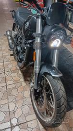 benelli leoncino 500 trail 