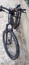 whistel b-race