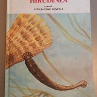 Hirudinea, Alessandro Minelli. Fauna d'Italia 