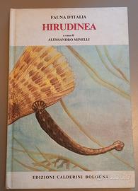 Hirudinea, Alessandro Minelli. Fauna d'Italia 