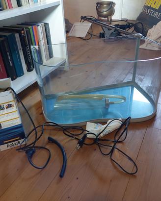 ACQUARIO PER TARTARUGHE