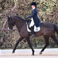 Cavalla dressage