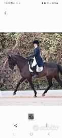 Cavalla dressage