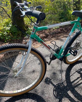 Bicicletta MTB vintage