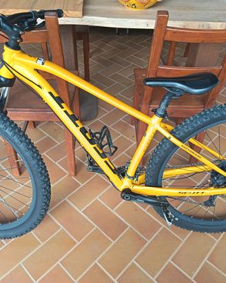 Scott aspect 950