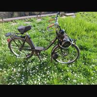 Mororino solex