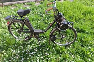 Mororino solex