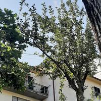 Appartamentino in Toscana