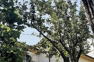 Appartamentino in Toscana