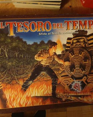Gioco Tesoro del tempio MB versione rara