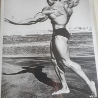 4 foto di Arnold Schwarzenegger