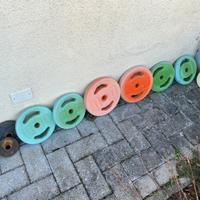 Pes palestra con bioancere
