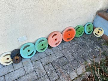 Pes palestra con bioancere