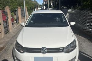 Polo bianca