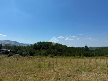 TER. AGRICOLO A ARTENA