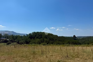 TER. AGRICOLO A ARTENA