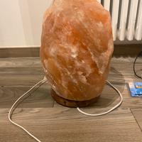 Lampada di sale himalaya kg 27