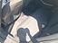 Immagine 12