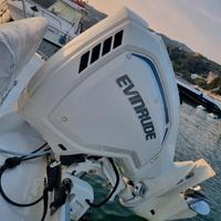 Motore fuoribordo Evinrude G2 E-Tec 150cv
