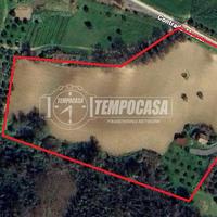 CASA COLONICA con terreno di 2,5 ettari