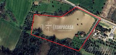 CASA COLONICA con terreno di 2,5 ettari