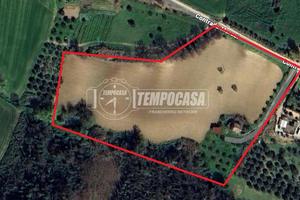 CASA COLONICA con terreno di 2,5 ettari