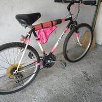 Bicicletta da donna
