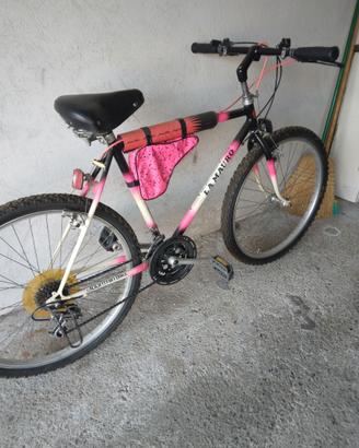 Bicicletta da donna