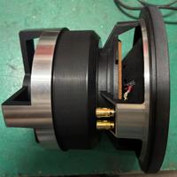 Altoparlante Subwoofer P.Audio TM 10