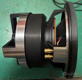 Altoparlante Subwoofer P.Audio TM 10