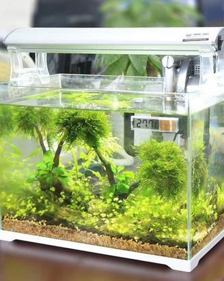 Termometro DIGITALE TRASPARENTE per ACQUARIO - ADA