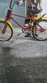 Bicicletta regina raggio 20"