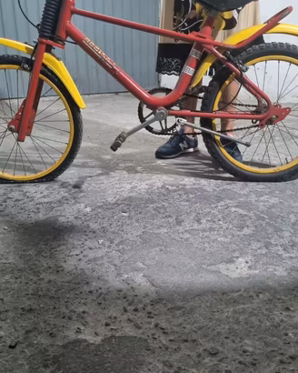 Bicicletta regina raggio 20"